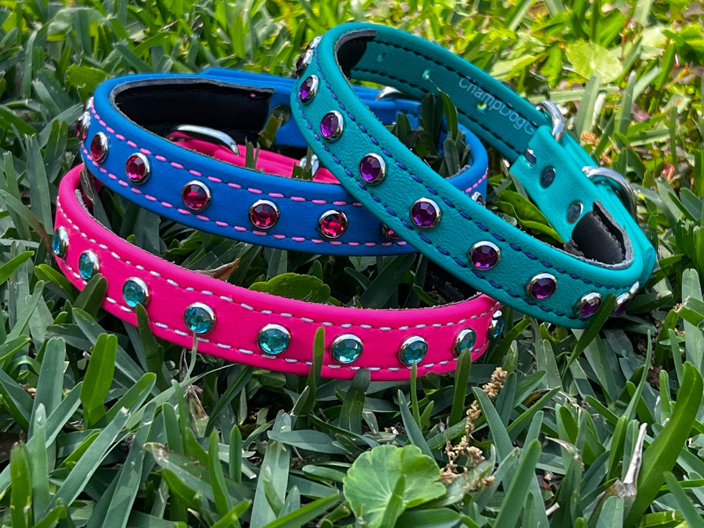 Mini Bling Collar